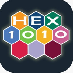 1010 Hex