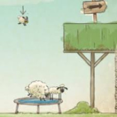 Sheep Home Sheep