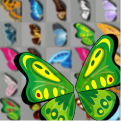 Butterfly Kyodai