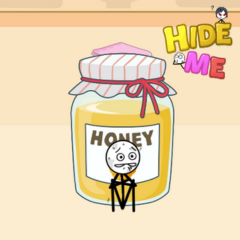 Hide Me game online